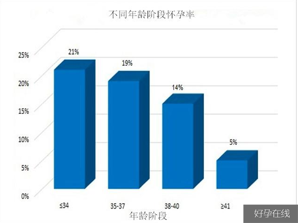 不同年龄段怀孕率