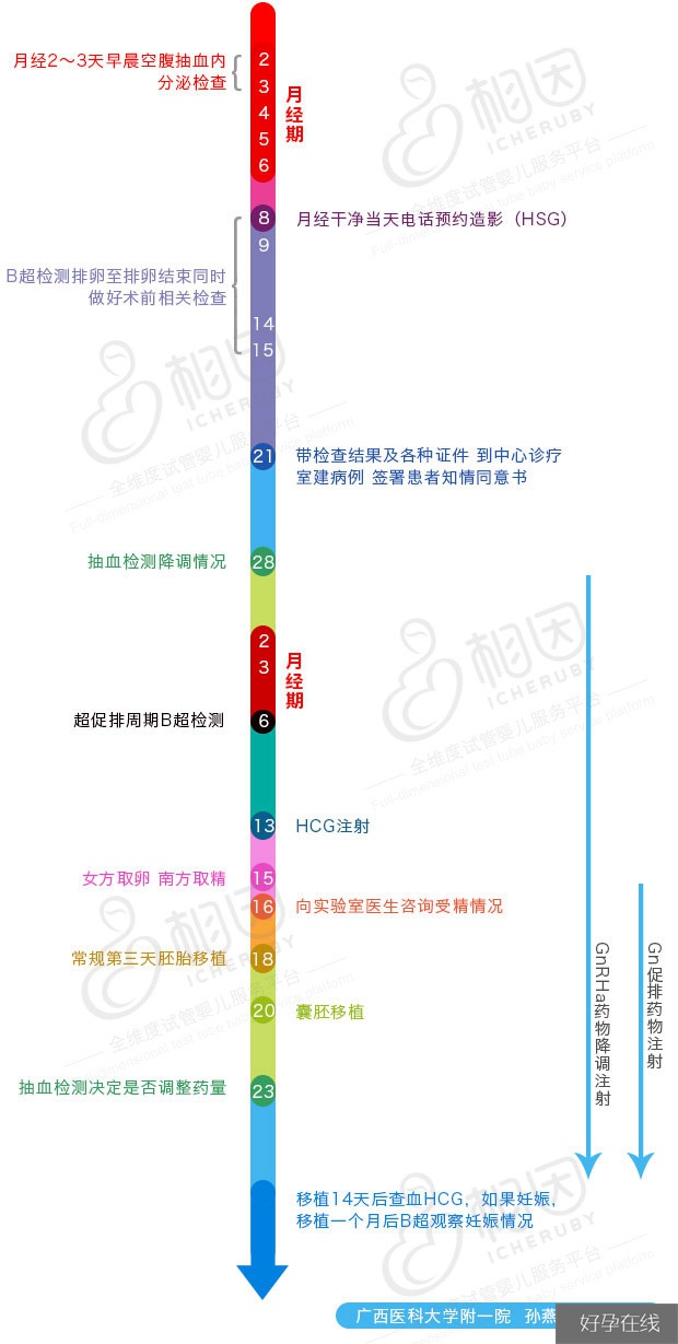 美国试管婴儿流程图