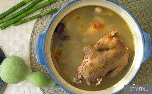 催乳食物有哪些