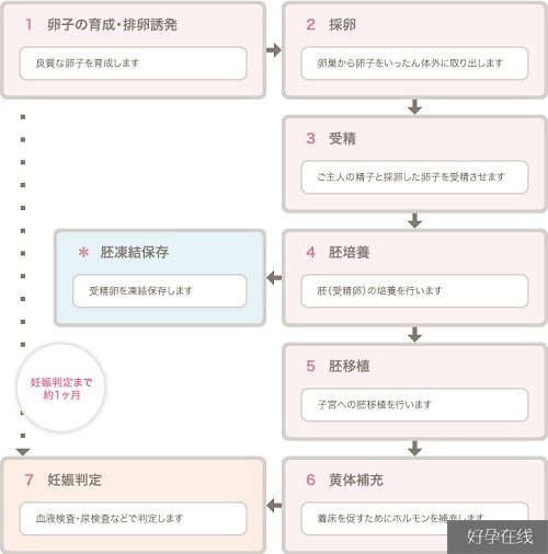 日本英医院试管婴儿7步流程