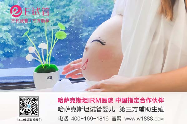 白俄罗斯做试管婴儿