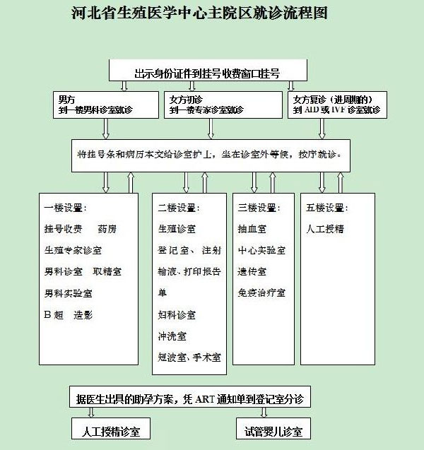 河北计划生育政策科技进步研究所就诊流程