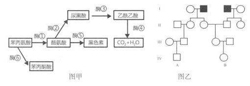 异型苯丙酮尿症