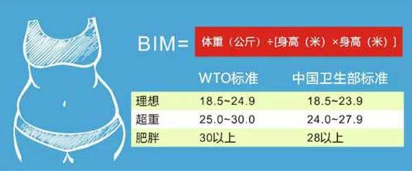 标准体重参考示意图