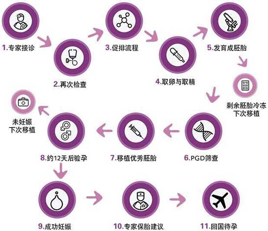 试管婴儿步骤过程图