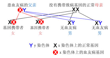 试管婴儿PGD技术