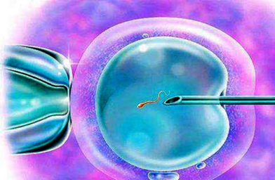 E试管：国内三甲医院预约绿色通道治疗排卵障碍|试管婴儿保险办理