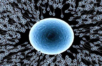 E试管：预约国内三甲医院绿色通道治做试管婴儿|试管婴儿保险办理|促排药物选择