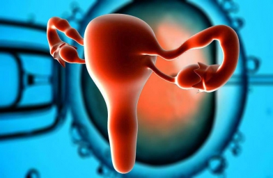 用干细胞治疗卵巢早衰，4种途径恢复卵巢功能
