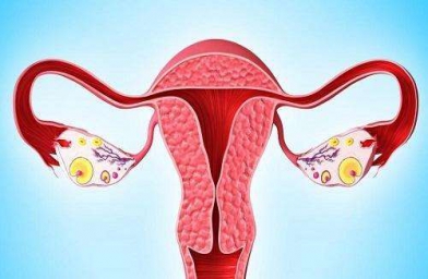 格鲁吉亚ReproArt诊所专家解释取卵后卵巢该如何保养？